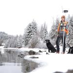 Exton & Dodge Land Surveying Inc. - photo 1