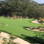 Synthetic Grass Warehouse - photo 1