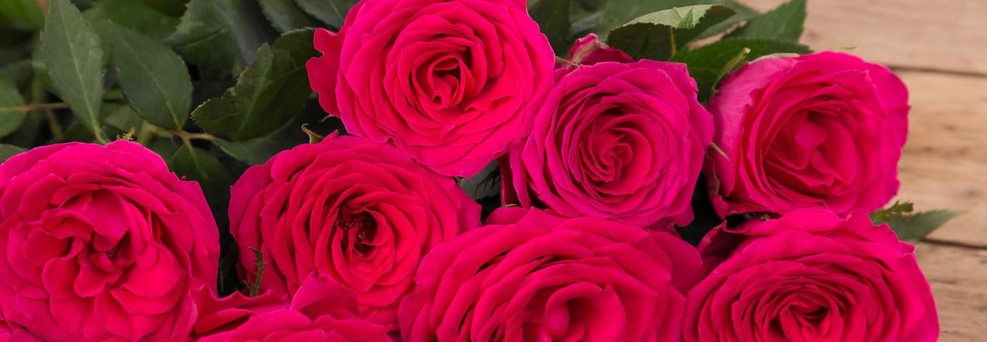 Flowers & Festivities cover photo