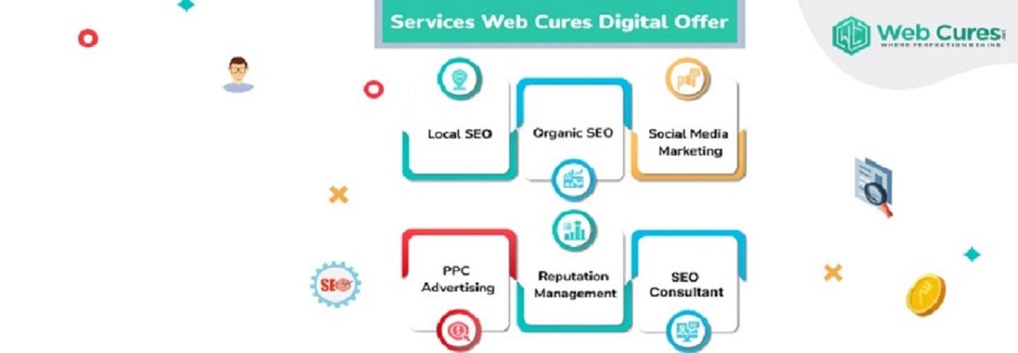 Web Cures Digital Gym Marketing Florida cover photo