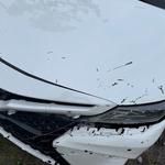 Next Level Auto Collision - photo 2