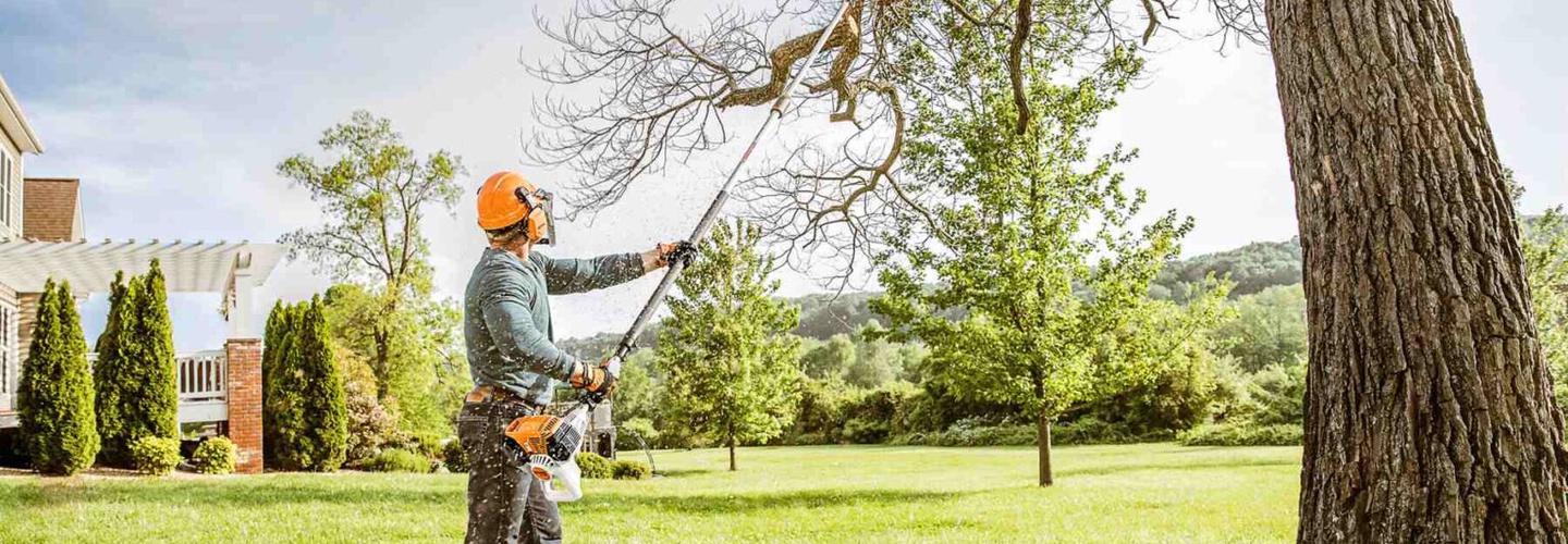 Green Effect Land & Tree cover photo