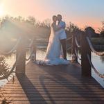 Black Walnut Estate - photo 1