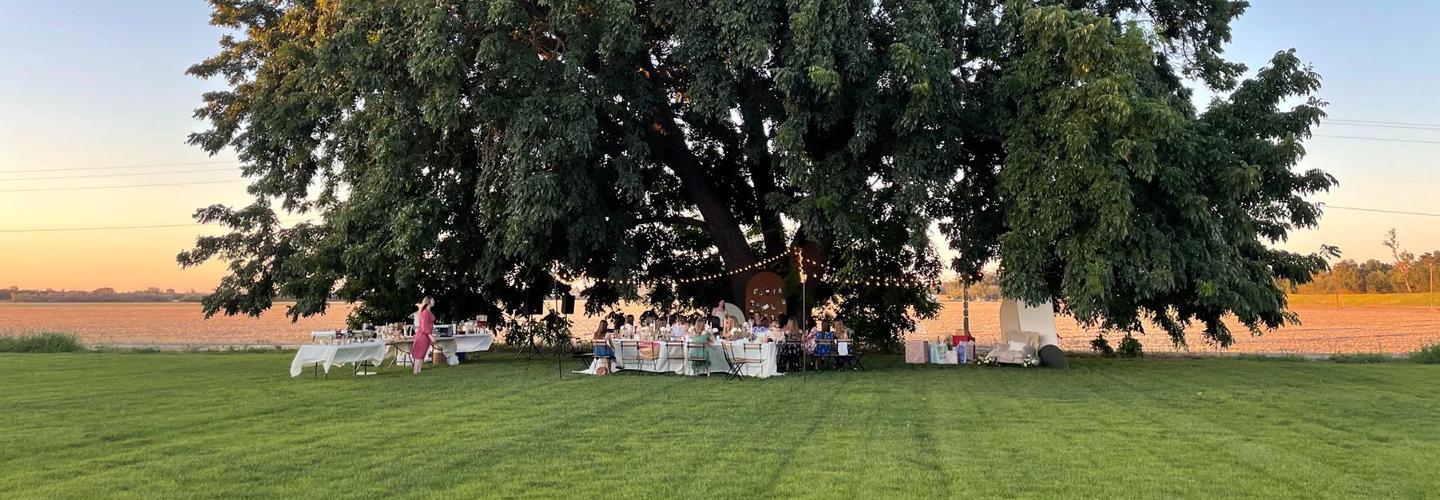 Black Walnut Estate cover photo