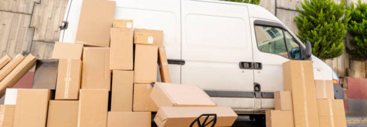 Golden Sun Movers cover photo