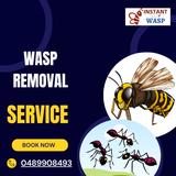 Wasp Removal Noble Park