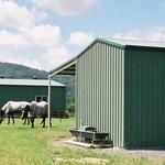 National Sheds and Shelters - photo 4