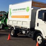 Cutting Edge Tree Maintenance - photo 4