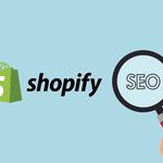 Web Cures Digital Shopify SEO Colorado Springs - photo 9