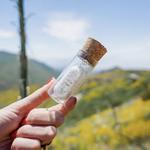 GOpure Pod - photo 3