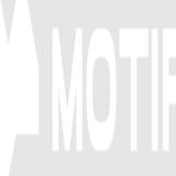 MOTIF