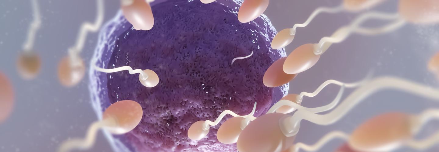 hopefertilitypreservation cover photo