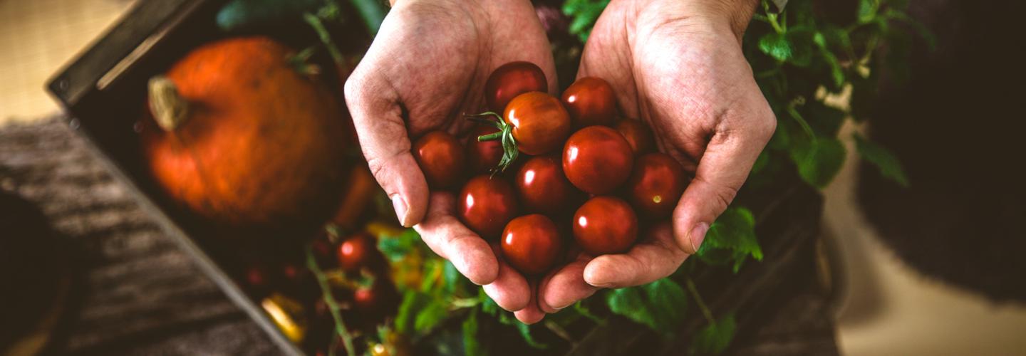 Maloneys Grocer cover photo