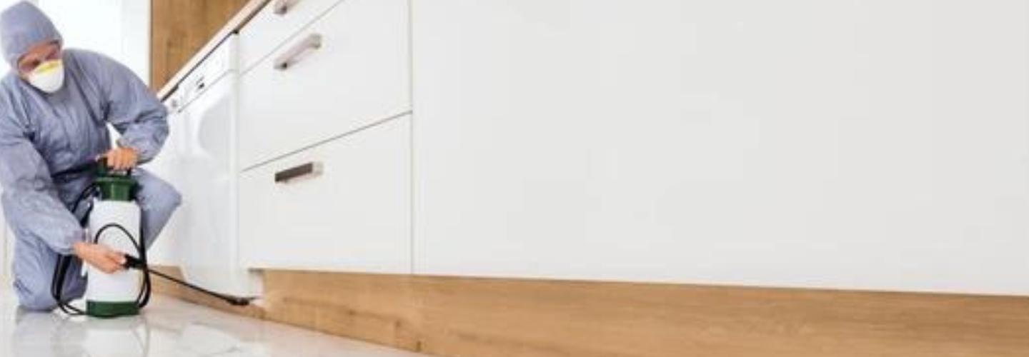 Pest Service Quote, Columbus cover photo