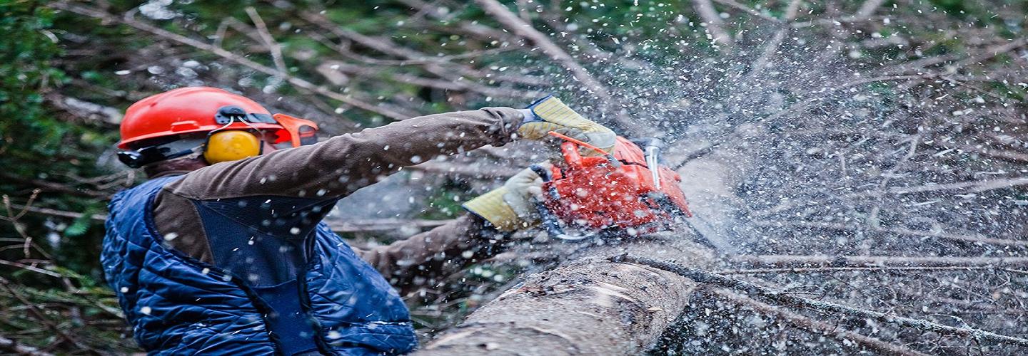 Kalispell Tree Care cover photo