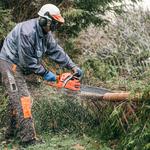 Kalispell Tree Care - photo 4