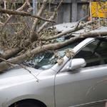 Harrison - Price Insurance Agency, LLC - photo 2