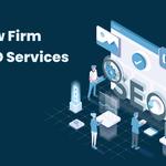 Web Cures Digital Law Firm SEO Anchorage - photo 4