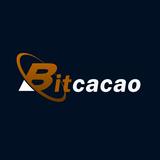 Bitcacao - Financial Services in Hanoi