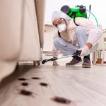 EVO Pest Control  - photo 3