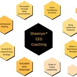 Shoonyo CEO Coaching - photo 1