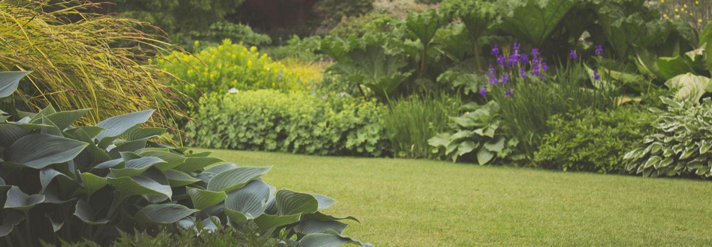 ABT Tree Care cover photo