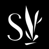 Saltbrush - Professional Services in Boise