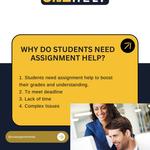 Uni Assignment help - photo 5