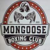 Mongoose Boxing Club - Boxing in Wake Forest