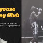 Mongoose Boxing Club - photo 2