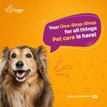 Waggles Pet Care - photo 2