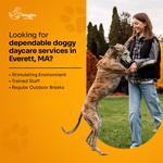 Waggles Pet Care - photo 3