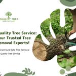 Quality Tree Service - photo 1