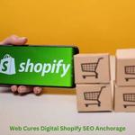 Web Cures Digital Shopify SEO San Jose - photo 1