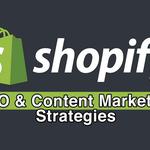 Web Cures Digital Shopify SEO San Jose - photo 5