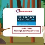 Quantoknack Training - photo 2