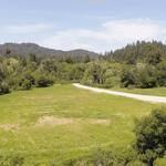 Paul Burrowes - David Lyng Real Estate - photo 6