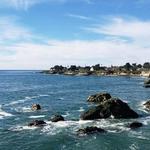 Paul Burrowes - David Lyng Real Estate - photo 8