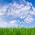 Alleman's Office Care - photo 2