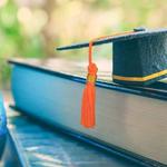 Best Study Visa Consultancy  | GPMC - photo 2