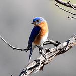 Trailway Photography - photo 2