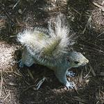 Trailway Photography - photo 3