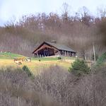 Trailway Photography - photo 5