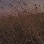 Trailway Photography - photo 6