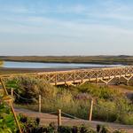 Algarve Villa Selection - photo 2