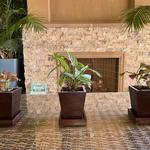 Stand With Nature - photo 2