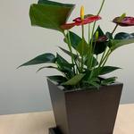 Stand With Nature - photo 3