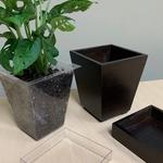 Stand With Nature - photo 5