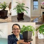 Stand With Nature - photo 9