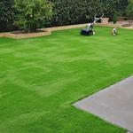 Green Turf Landscaping - photo 8